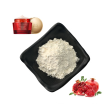 Cosmetics Raw Materials Pomegranate Extract Powder 95% Ellagic Acid Plant Extract with Best Price